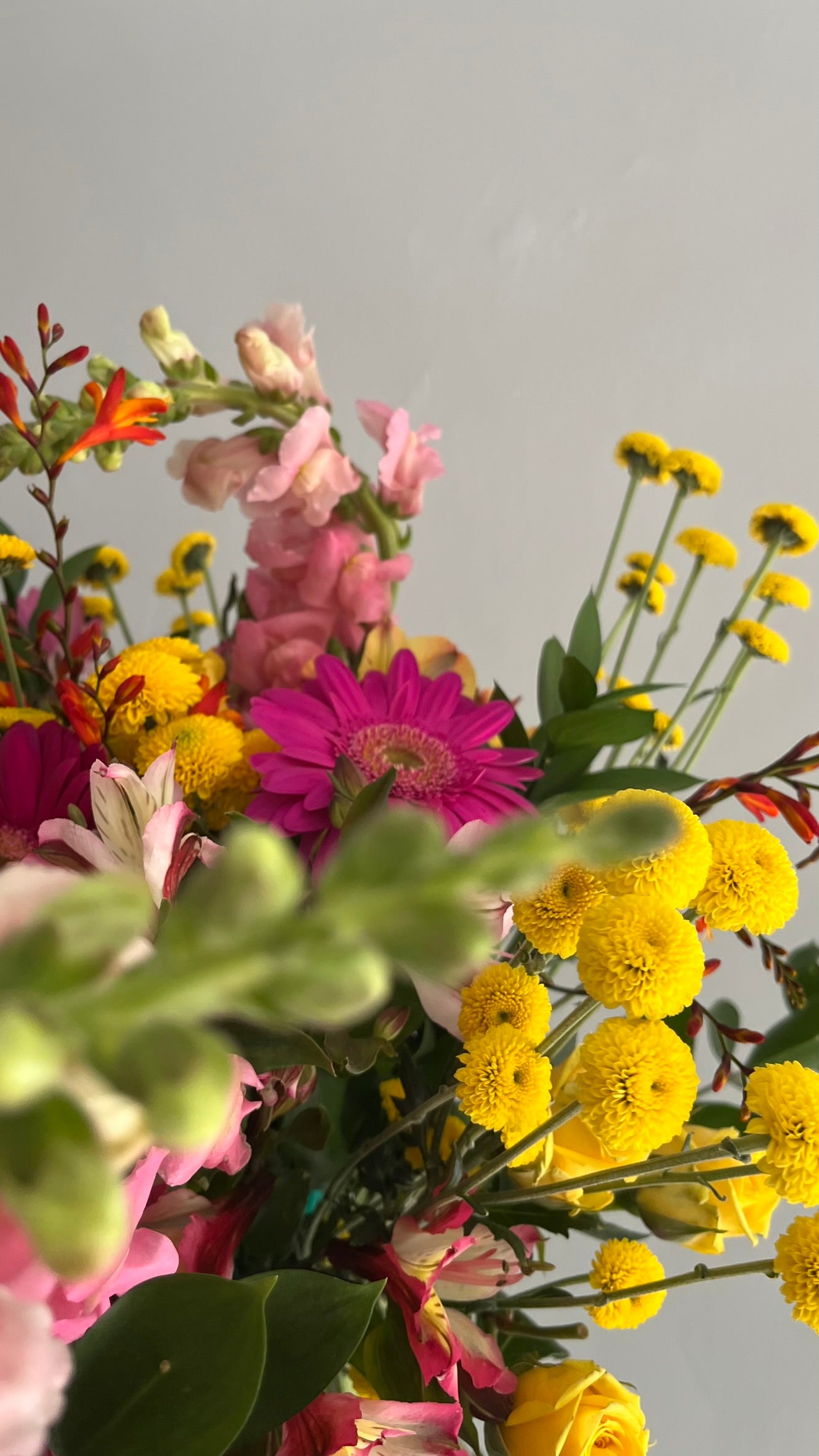 AUTHOR VIII — SPIRIT Bouquet de flores tropicales coloridas