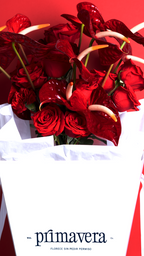 CLASSIC REBEL 09 | Bouquet elegante de rosas y anturios rojos