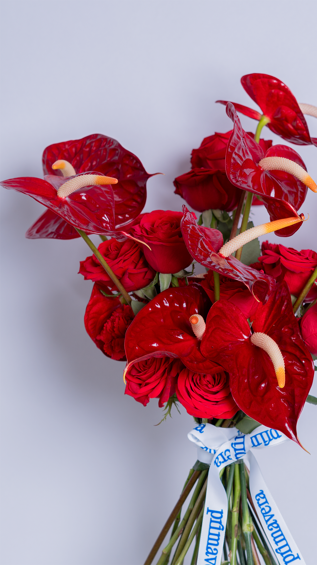 CLASSIC REBEL 09 | Bouquet elegante de rosas y anturios rojos