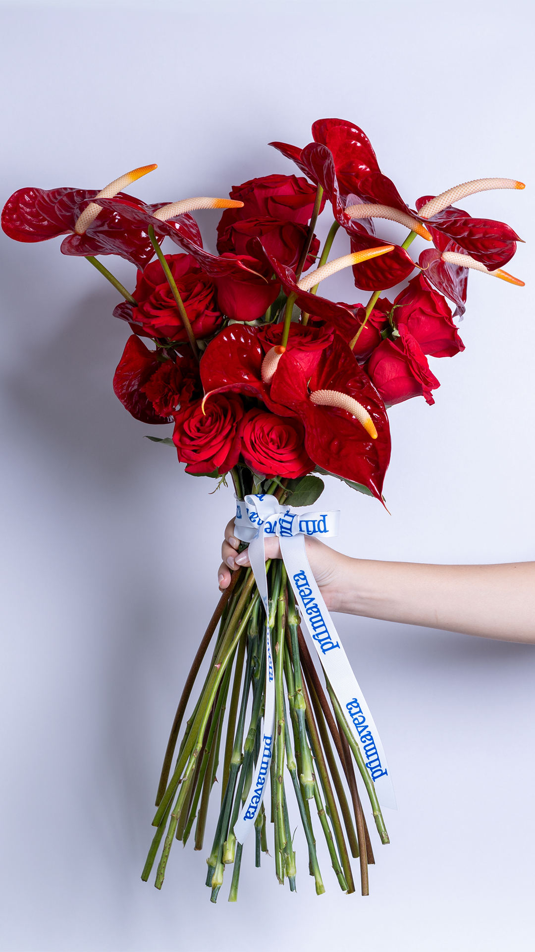 CLASSIC REBEL 09 | Bouquet elegante de rosas y anturios rojos