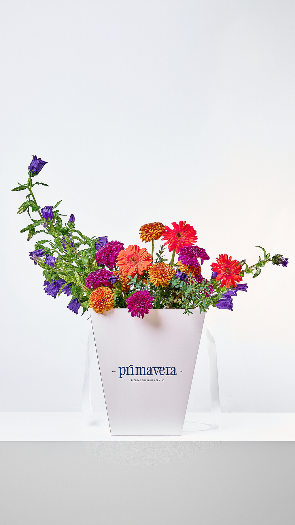 COURAGE 05 | Bouquet de flores colombianas con diseño moderno y colorido