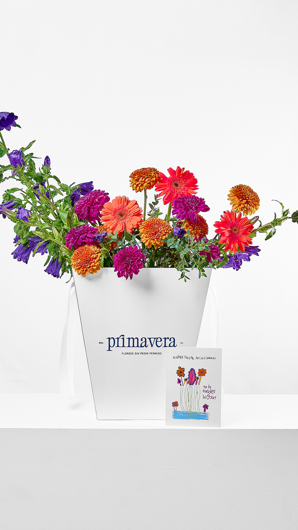 COURAGE 05 | Bouquet de flores colombianas con diseño moderno y colorido