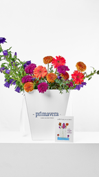 COURAGE 05 | Bouquet de flores colombianas con diseño moderno y colorido