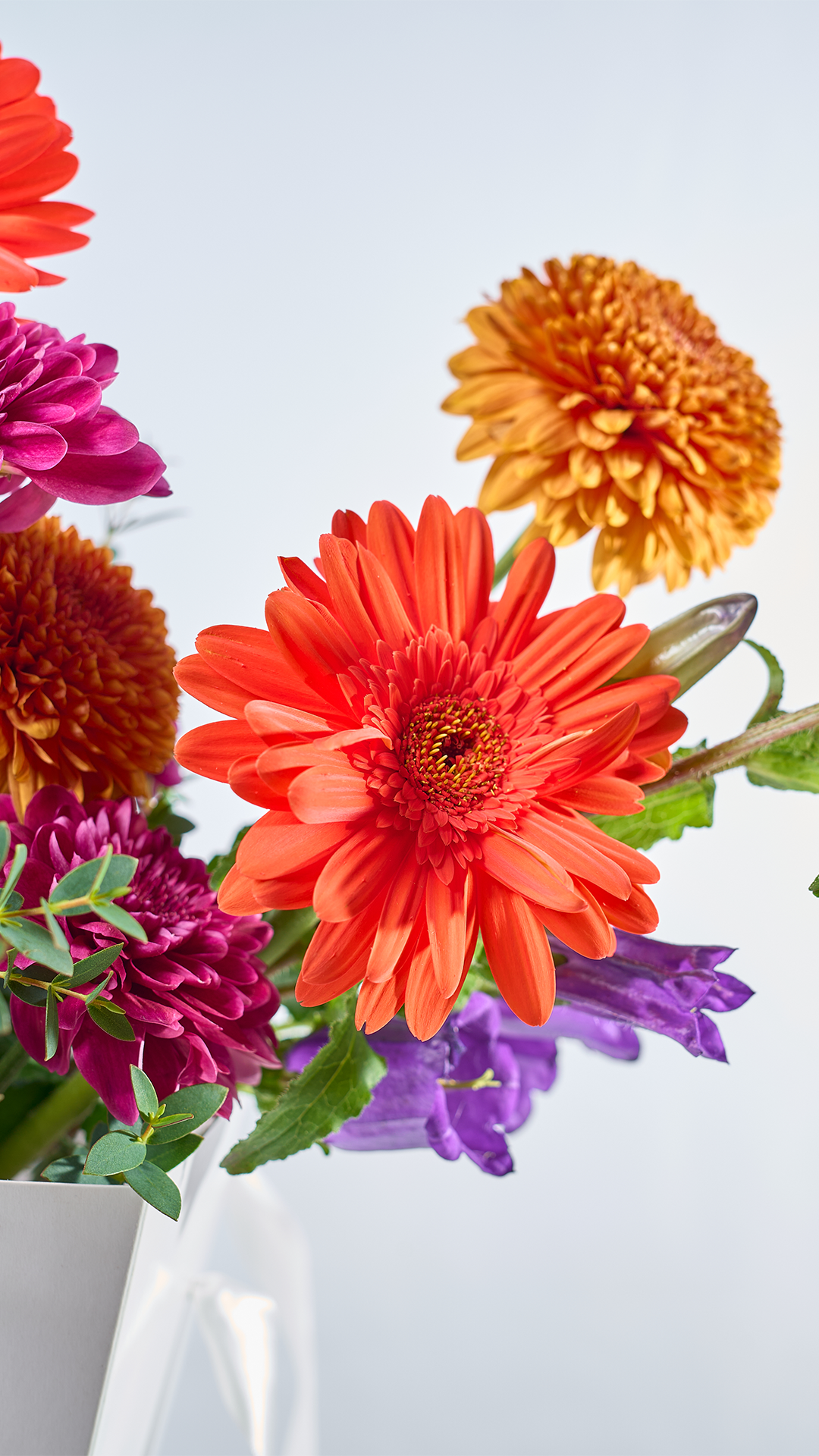 COURAGE 05 | Bouquet de flores colombianas con diseño moderno y colorido
