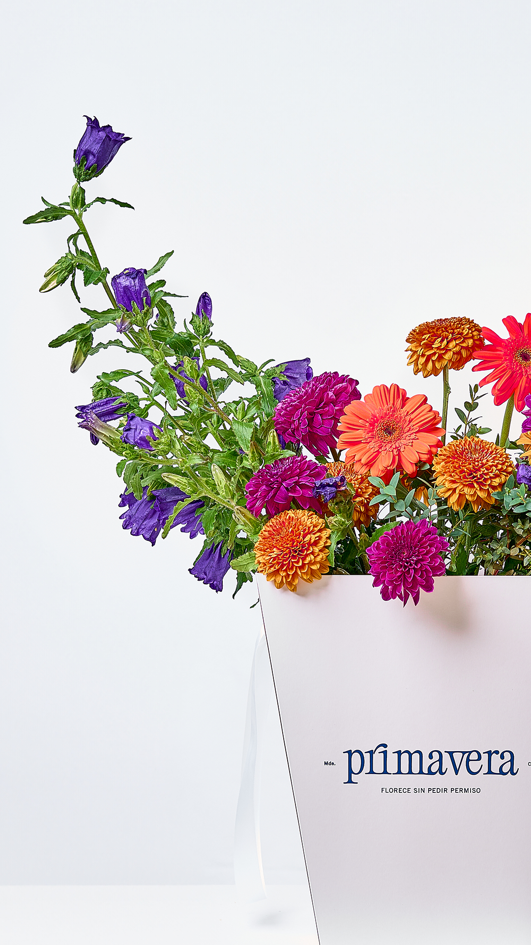 COURAGE 05 | Bouquet de flores colombianas con diseño moderno y colorido