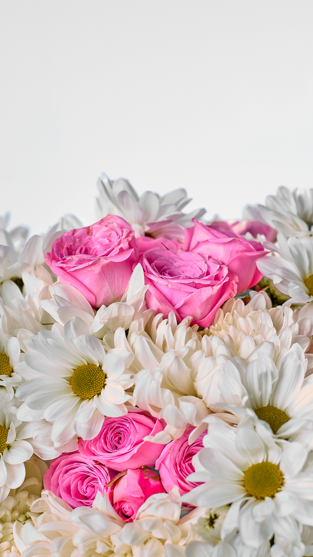 GOOD HEART 03 | Bouquet de margaritas, crisantemos y rosas