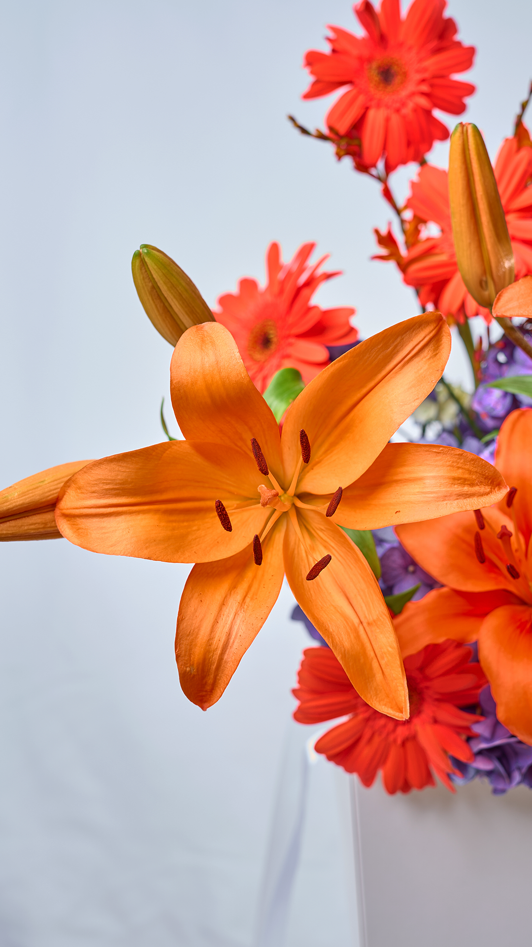 HOPE BLOOM 11 | Bouquet de hortensias, lirios y gerberas con flores frescas de temporada