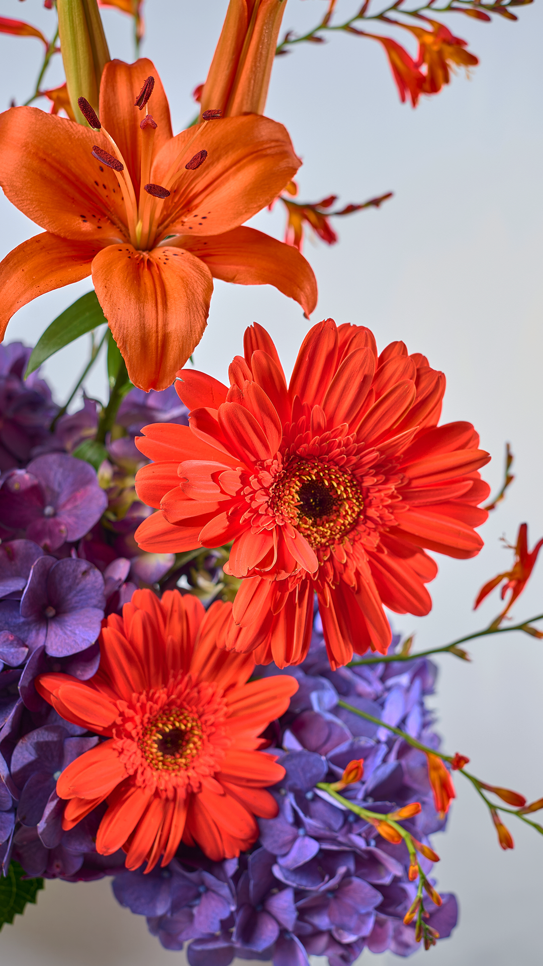 HOPE BLOOM 11 | Bouquet de hortensias, lirios y gerberas con flores frescas de temporada