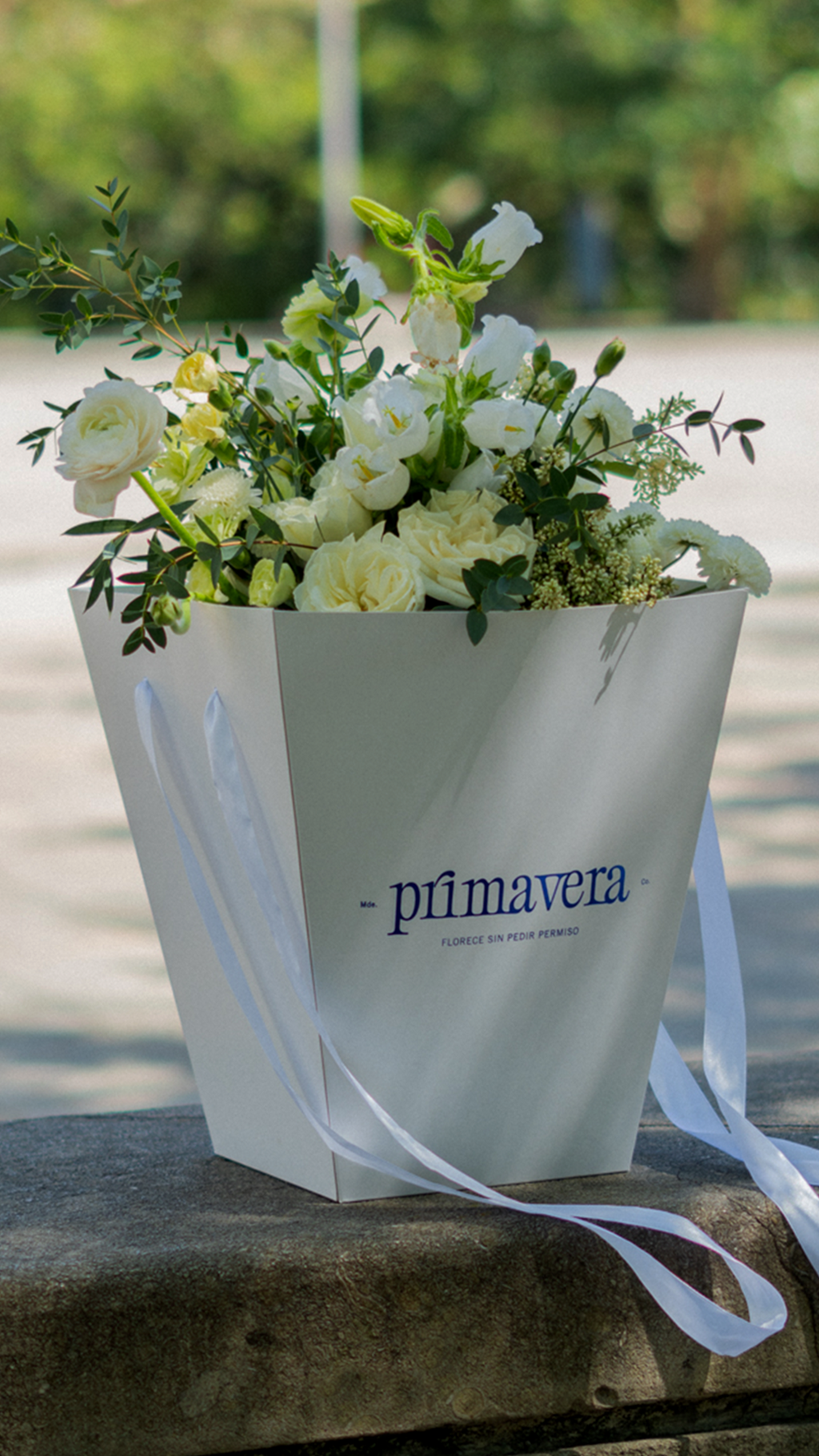 PURE REBEL 528 | Bouquet moderno de rosas blancas con diseño elegante y contemporáneo